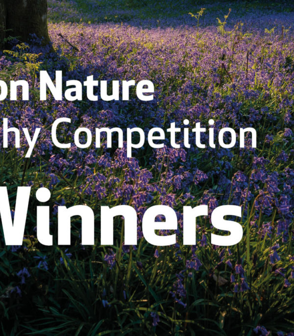 Announcing the WINNERS of our Photography Contest